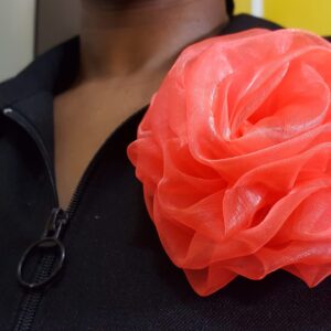 20230823_174300 Orange (Bright) Rosette Broach